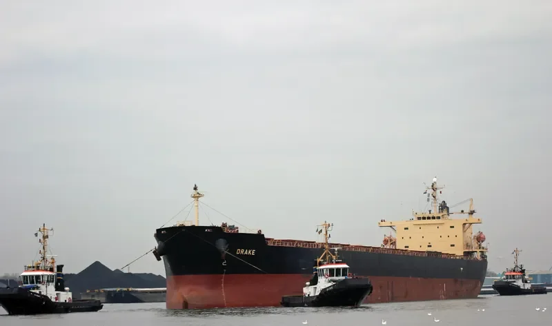 ANTHEA Bulk Carrier IMO 9317729 photo 4