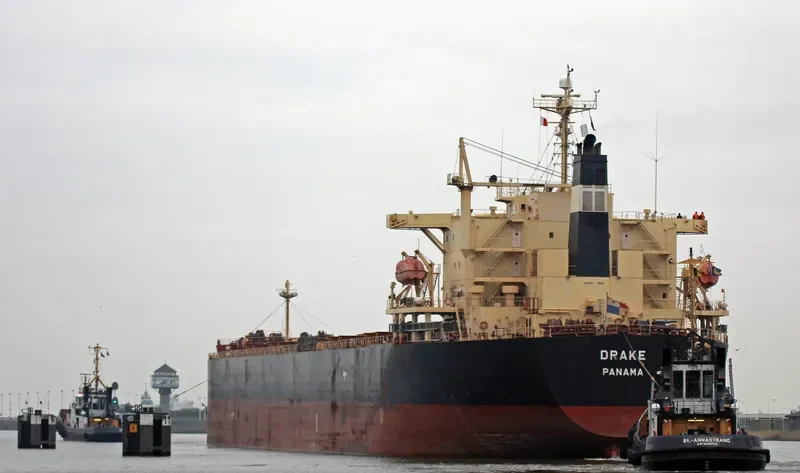 ANTHEA Bulk Carrier IMO 9317729 photo 5