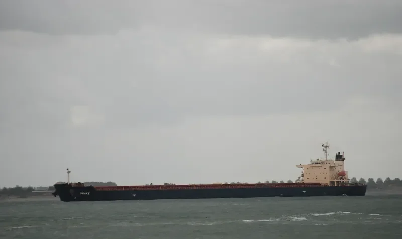 ANTHEA Bulk Carrier IMO 9317729 photo 6