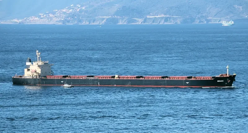 ANTHEA Bulk Carrier IMO 9317729 photo 7
