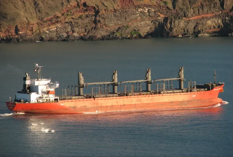 TAN BINH 259 Bulk Carrier IMO 9317743