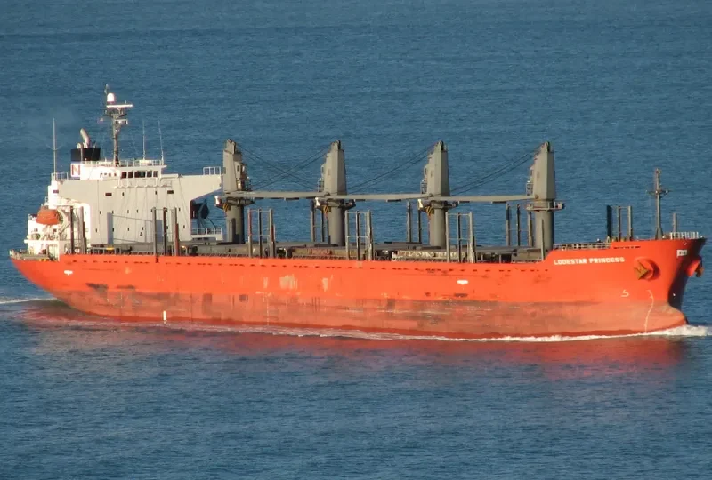 TAN BINH 259 Bulk Carrier IMO 9317743 photo 2