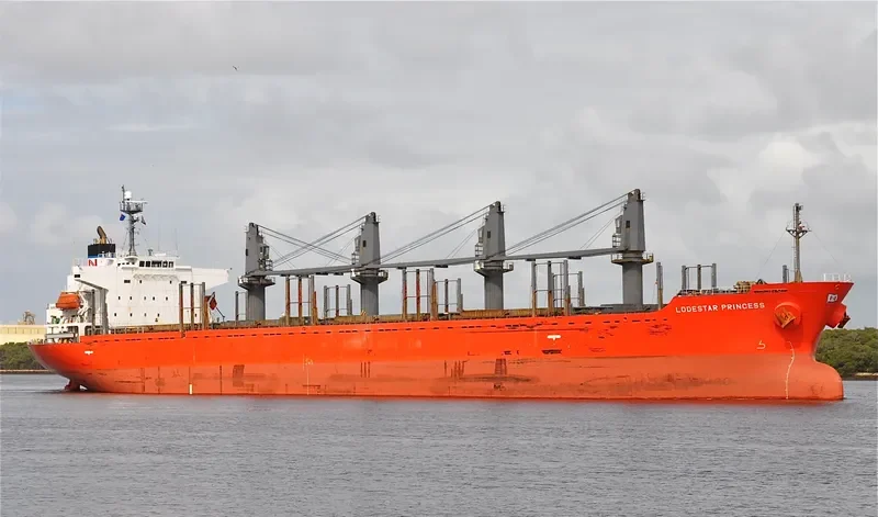TAN BINH 259 Bulk Carrier IMO 9317743 photo 3