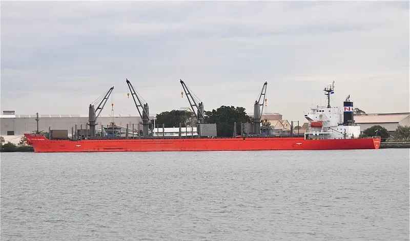 TAN BINH 259 Bulk Carrier IMO 9317743 photo 4