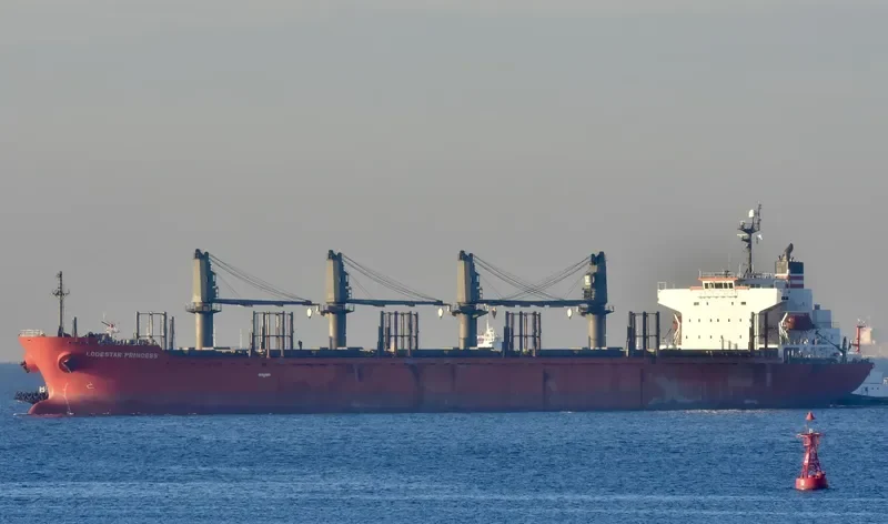 TAN BINH 259 Bulk Carrier IMO 9317743 photo 5