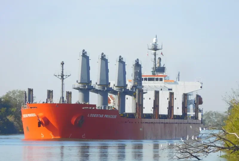 TAN BINH 259 Bulk Carrier IMO 9317743 photo 6
