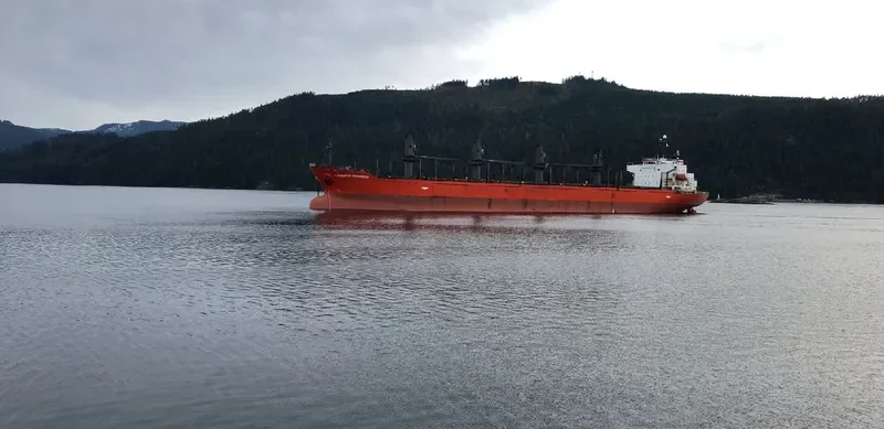 TAN BINH 259 Bulk Carrier IMO 9317743 photo 7