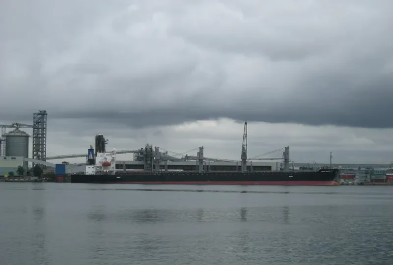 LORD WELLINGTON Bulk Carrier IMO 9317755