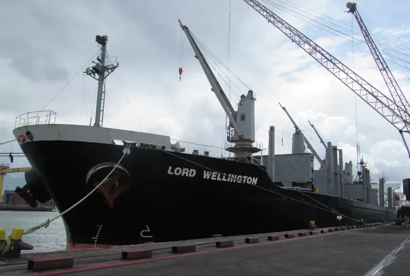 LORD WELLINGTON Bulk Carrier IMO 9317755 photo 4