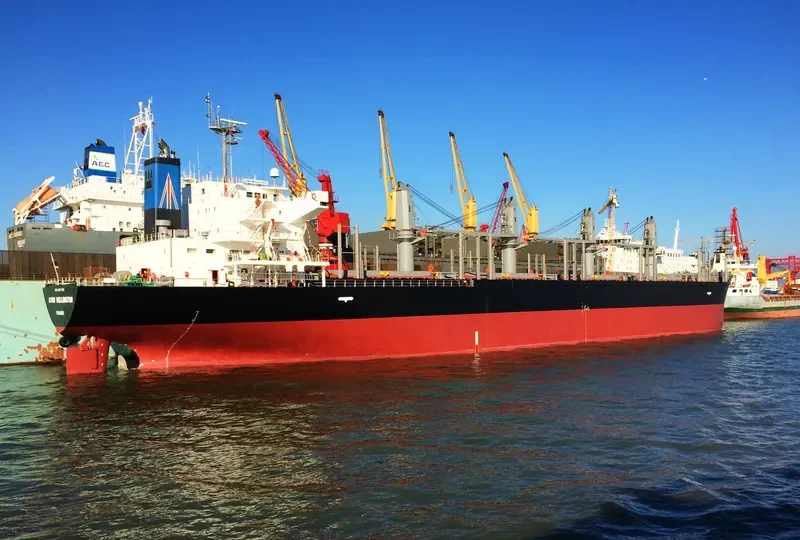 LORD WELLINGTON Bulk Carrier IMO 9317755 photo 7
