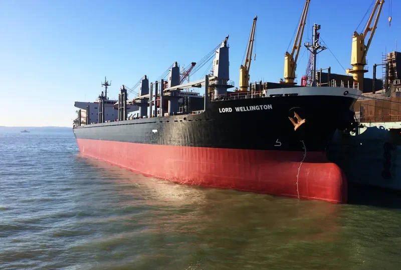 LORD WELLINGTON Bulk Carrier IMO 9317755 photo 8
