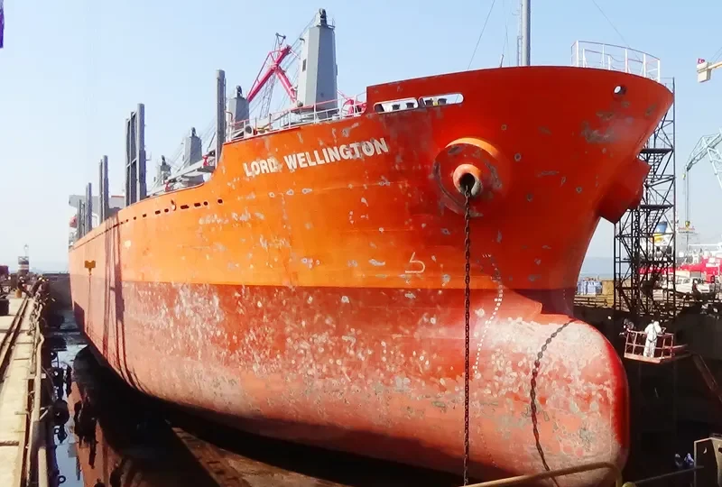 LORD WELLINGTON Bulk Carrier IMO 9317755 photo 9