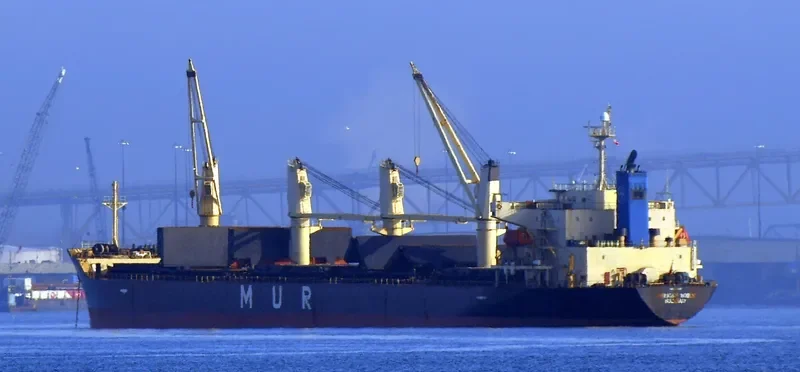 AFRICAN ROBIN Bulk Carrier IMO 9317767