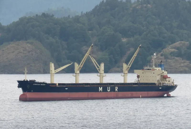AFRICAN ROBIN Bulk Carrier IMO 9317767 photo 6