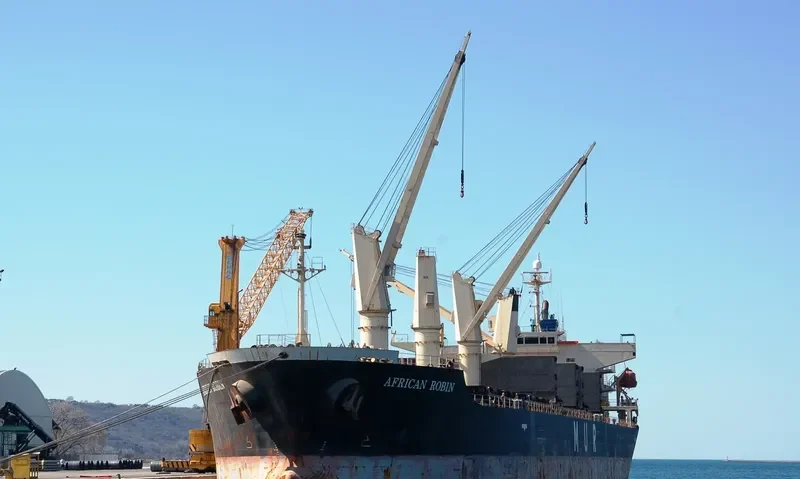 AFRICAN ROBIN Bulk Carrier IMO 9317767 photo 8