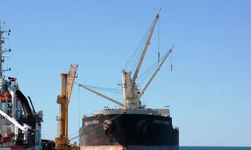 AFRICAN ROBIN Bulk Carrier IMO 9317767 photo 9