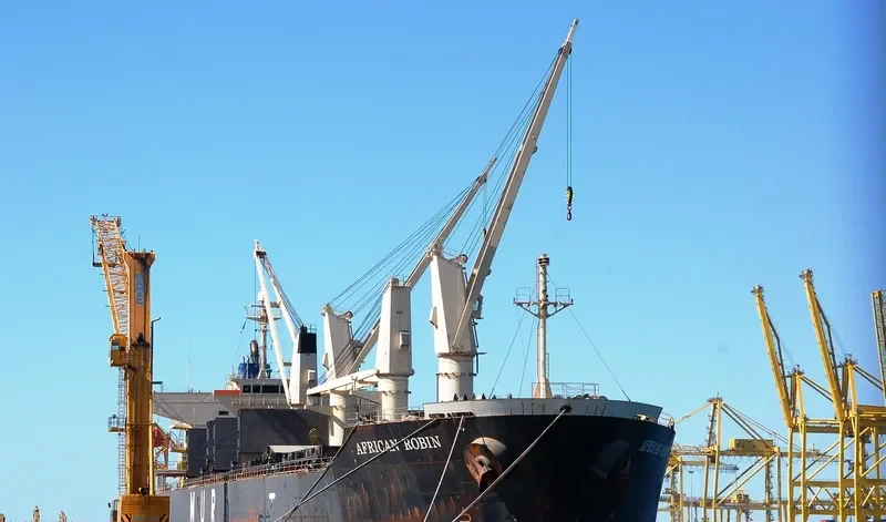 AFRICAN ROBIN Bulk Carrier IMO 9317767 photo 10