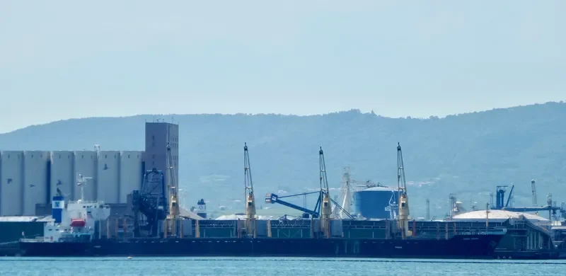 DOBROTA Bulk Carrier IMO 9317779 photo 2