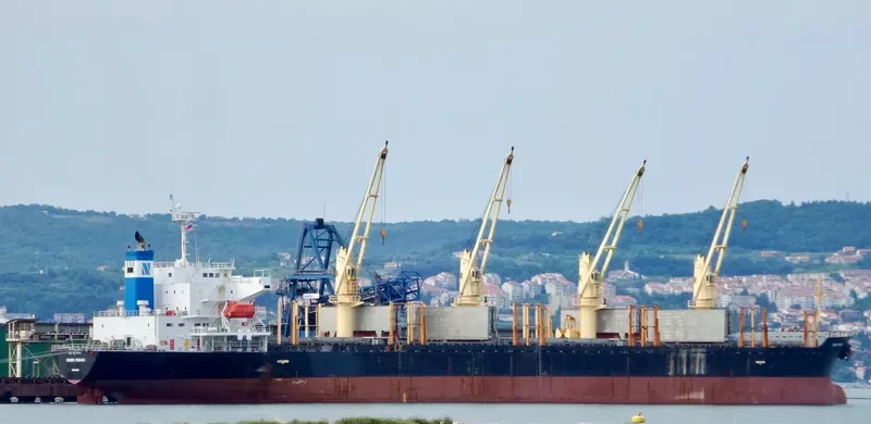DOBROTA Bulk Carrier IMO 9317779 photo 3