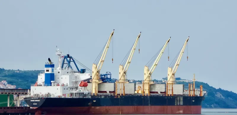 DOBROTA Bulk Carrier IMO 9317779 photo 4
