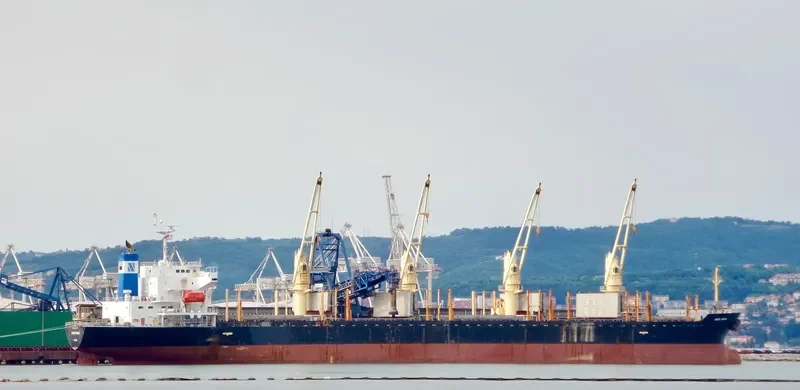 DOBROTA Bulk Carrier IMO 9317779 photo 5
