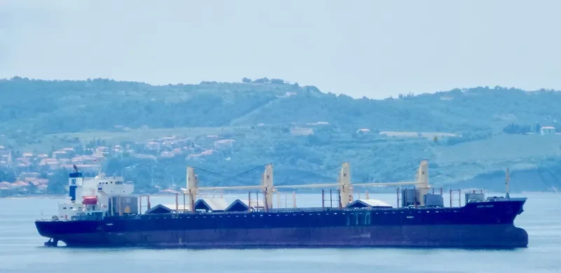 DOBROTA Bulk Carrier IMO 9317779 photo 6