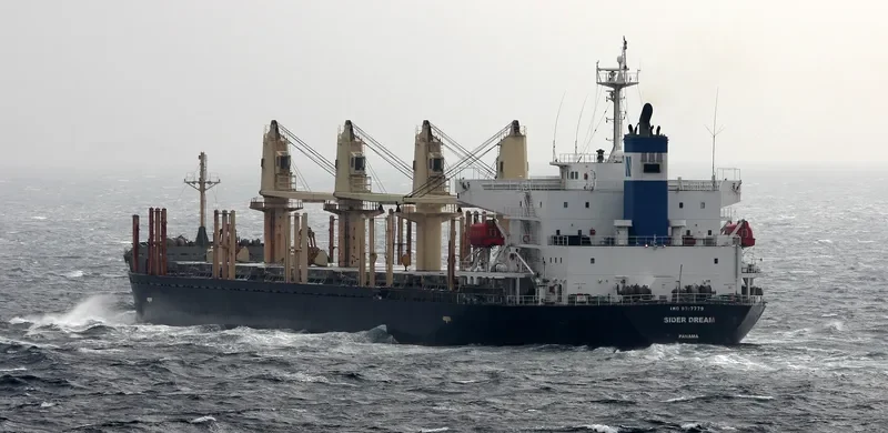 DOBROTA Bulk Carrier IMO 9317779 photo 7