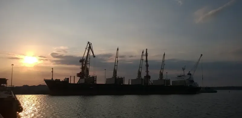 DOBROTA Bulk Carrier IMO 9317779 photo 8