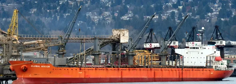 GLOBAL WISDOM Bulk Carrier IMO 9317781 photo 2