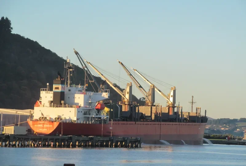 GLOBAL WISDOM Bulk Carrier IMO 9317781 photo 4