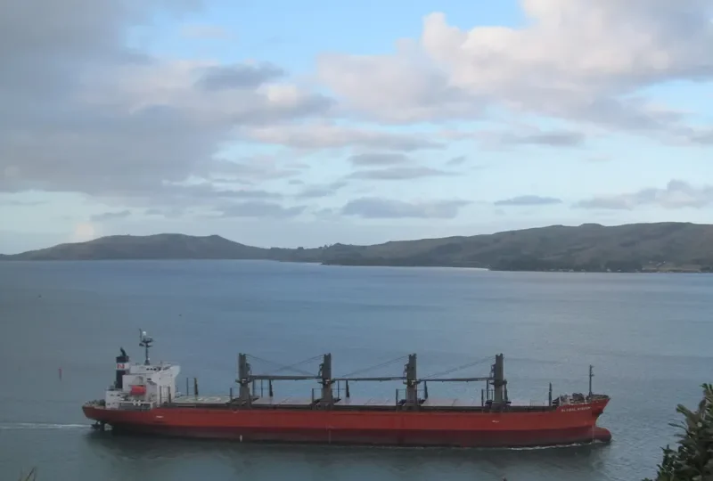 GLOBAL WISDOM Bulk Carrier IMO 9317781 photo 6