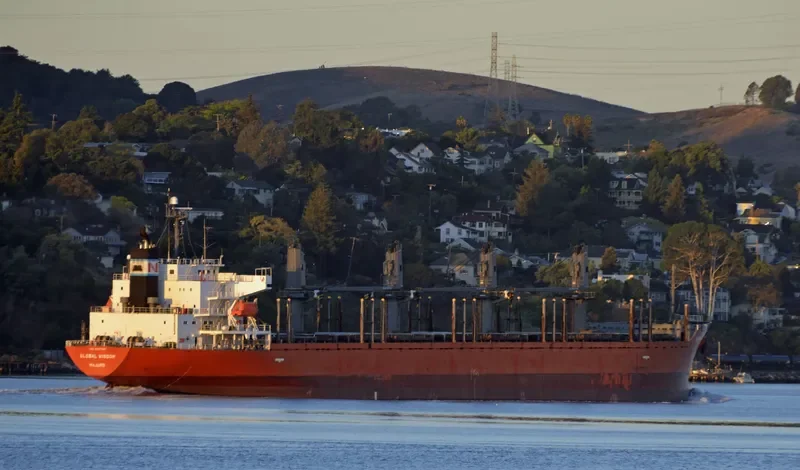 GLOBAL WISDOM Bulk Carrier IMO 9317781 photo 7