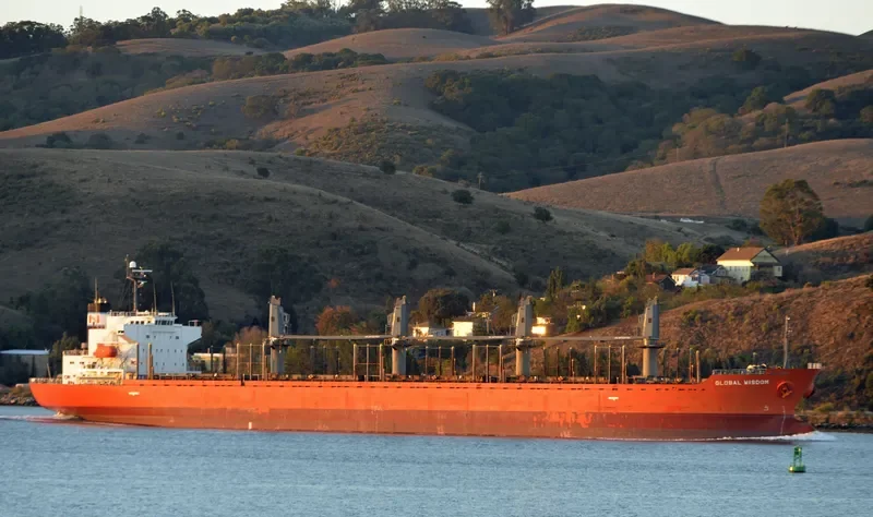 GLOBAL WISDOM Bulk Carrier IMO 9317781 photo 8