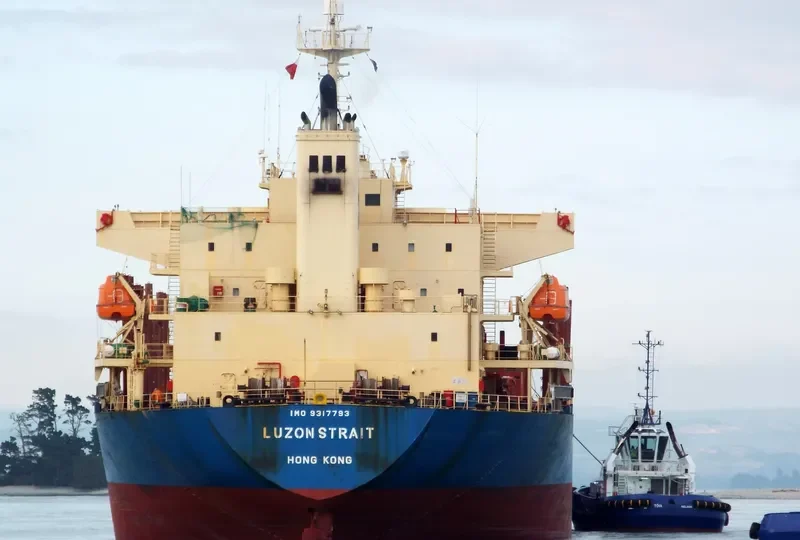 LUZON STRAIT Bulk Carrier IMO 9317793 photo 3