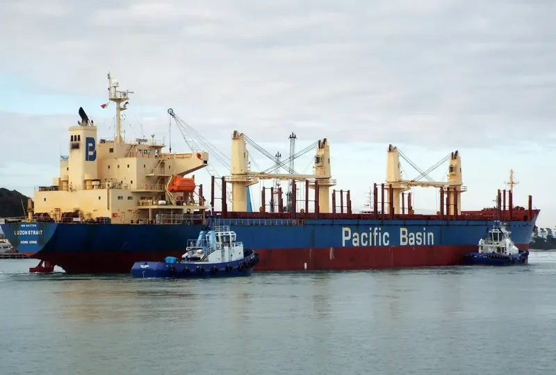 LUZON STRAIT Bulk Carrier IMO 9317793 photo 4