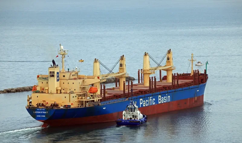 LUZON STRAIT Bulk Carrier IMO 9317793 photo 6