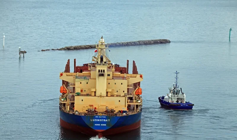 LUZON STRAIT Bulk Carrier IMO 9317793 photo 7