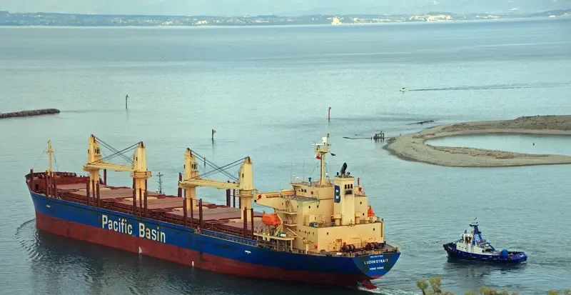 LUZON STRAIT Bulk Carrier IMO 9317793 photo 8
