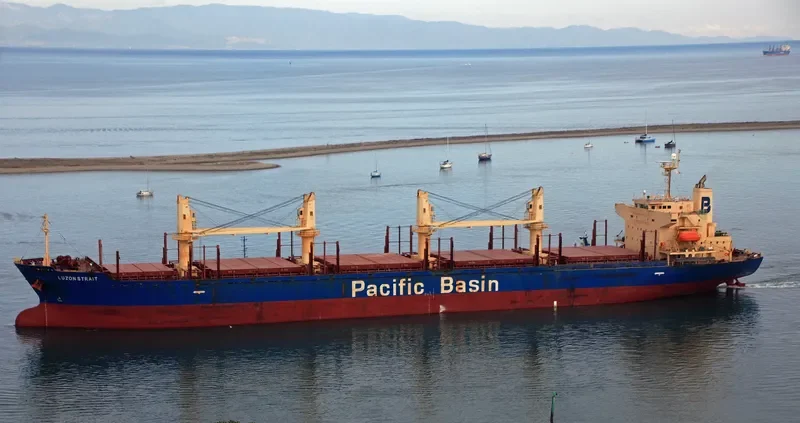 LUZON STRAIT Bulk Carrier IMO 9317793 photo 9