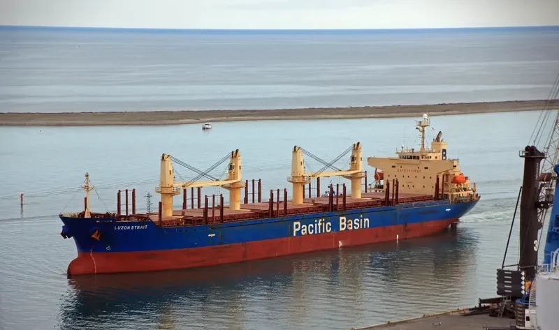 LUZON STRAIT Bulk Carrier IMO 9317793 photo 10