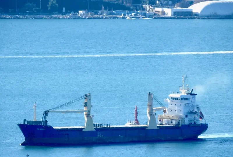 SVEALAND General Cargo IMO 9317808