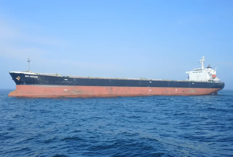 SEA FUTURE Bulk Carrier IMO 9317810
