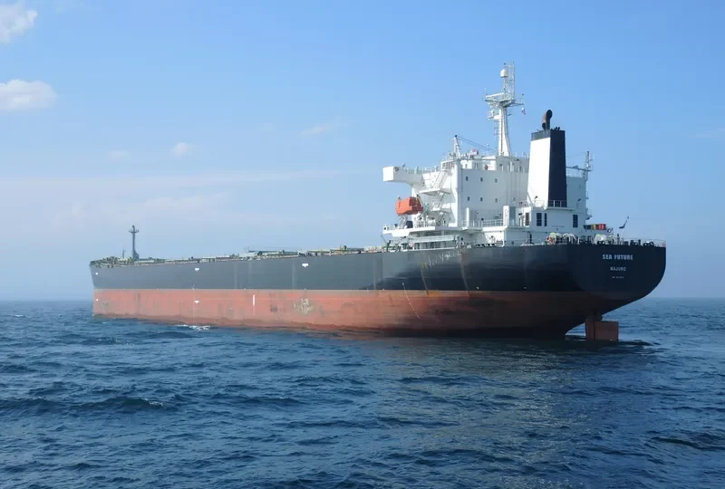 SEA FUTURE Bulk Carrier IMO 9317810 photo 2