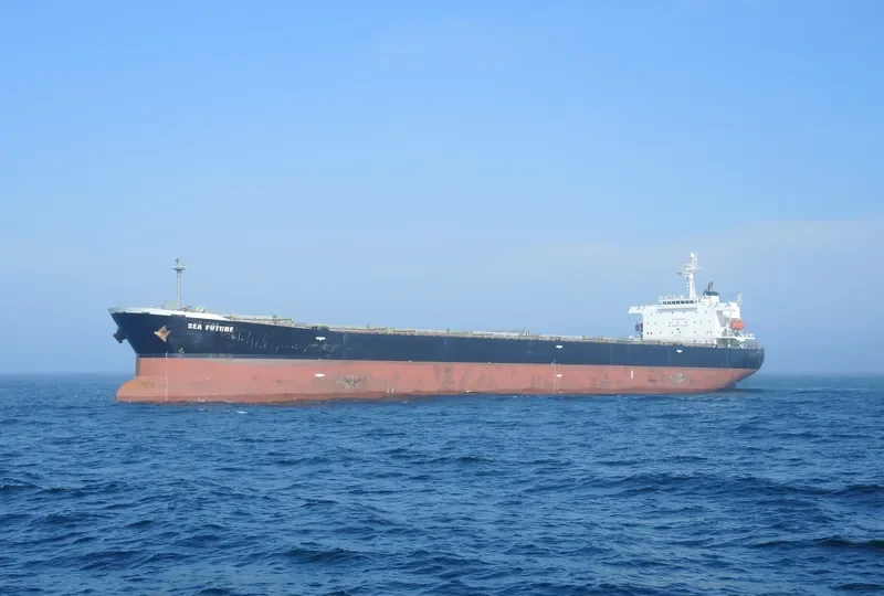 SEA FUTURE Bulk Carrier IMO 9317810 photo 3