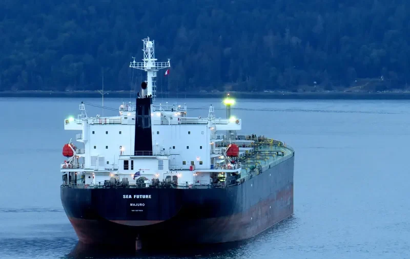 SEA FUTURE Bulk Carrier IMO 9317810 photo 4