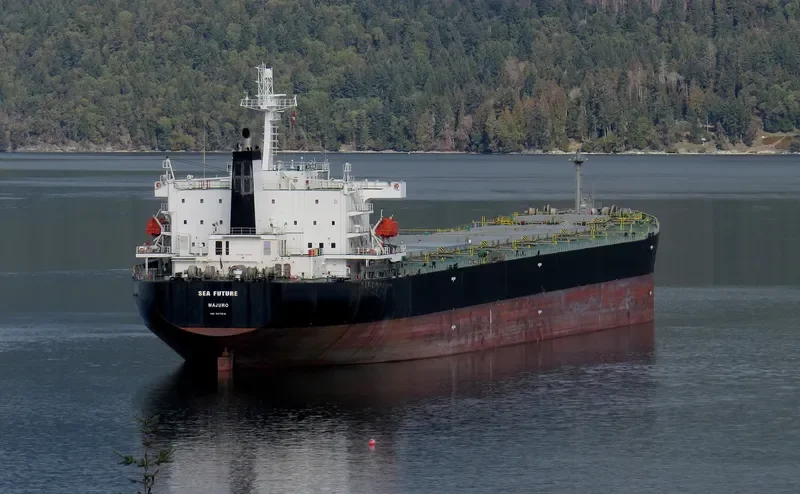 SEA FUTURE Bulk Carrier IMO 9317810 photo 5