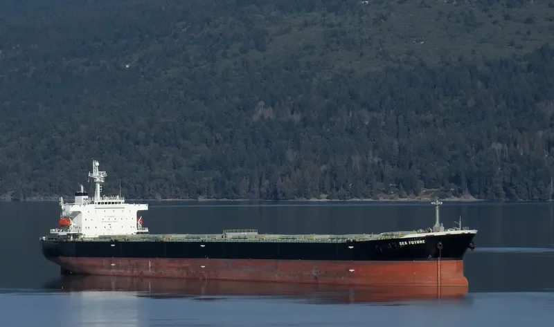 SEA FUTURE Bulk Carrier IMO 9317810 photo 6