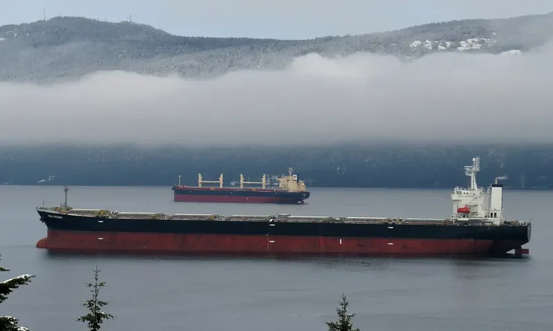SEA FUTURE Bulk Carrier IMO 9317810 photo 8