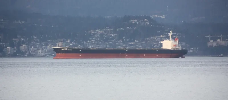 SEA FUTURE Bulk Carrier IMO 9317810 photo 9