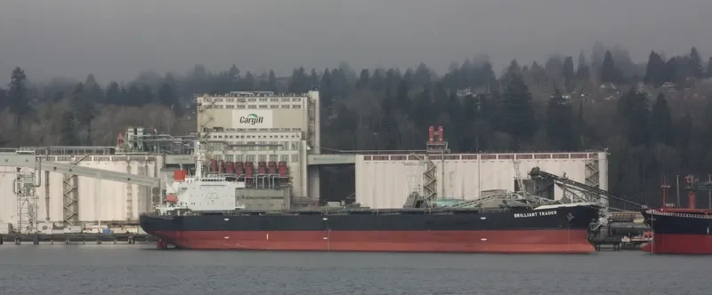 SEA FUTURE Bulk Carrier IMO 9317810 photo 10